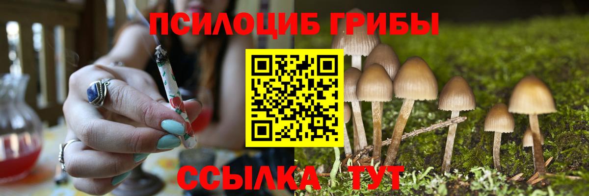 Галлюциногенные грибы ЛСД Ржев