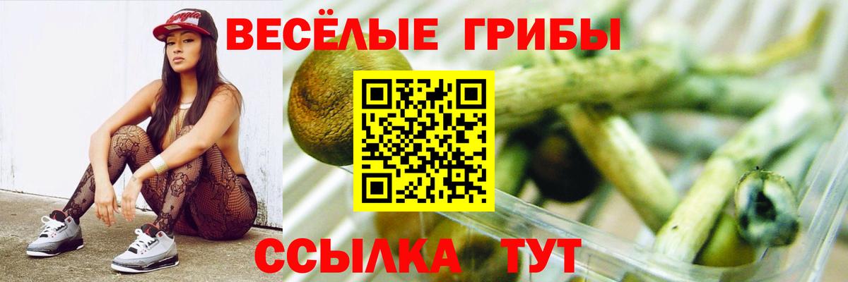 Псилоцибиновые грибы Psilocybe  Вход с VPN  Ржев  Галлюциногенные грибы GOLDEN TEACHER 