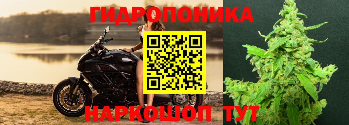 Канабис MAZAR  Канабис семена  Вход с VPN  Бошки Шишки тримм  Ржев  Шишки марихуана планчик 